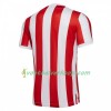 Stoke City Thuisshirt 2018/2019